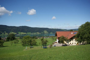 Ferienhof Edtmeier, Zell Am Moos, Österreich